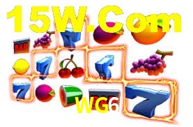 Experiência VIP WG6