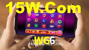 Premium Interface WG6