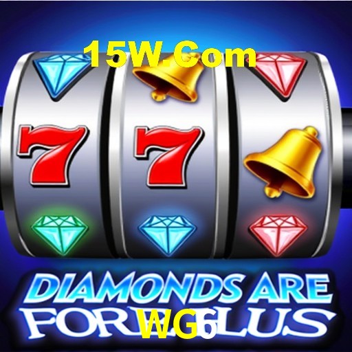 Experiência VIP WG6